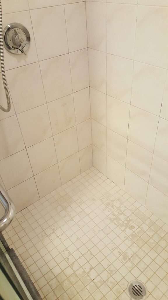 Stall Shower Before - grout looks old