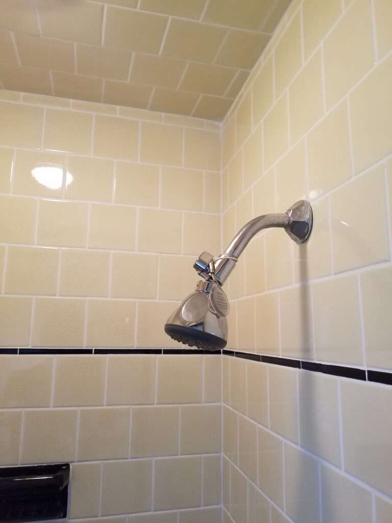 after regrout shower, grout is much cleaner