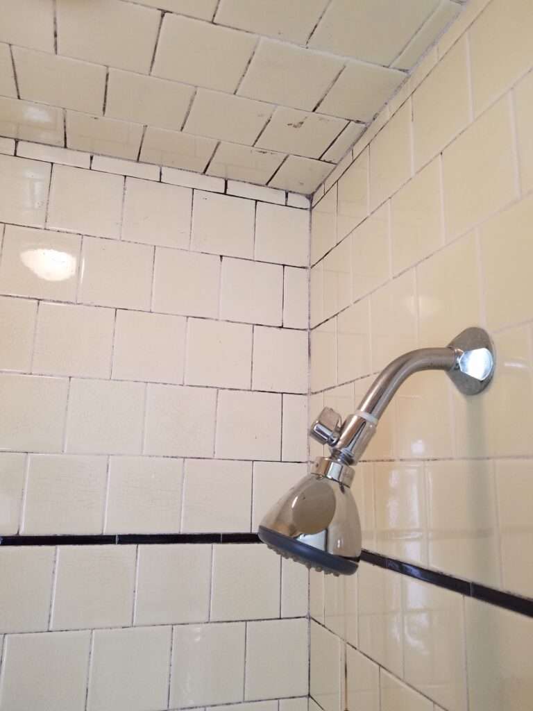 before regrout shower - the grout looks mildewed