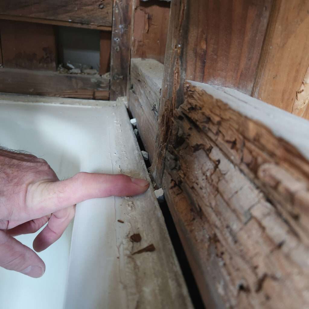 Water damaged wood framing